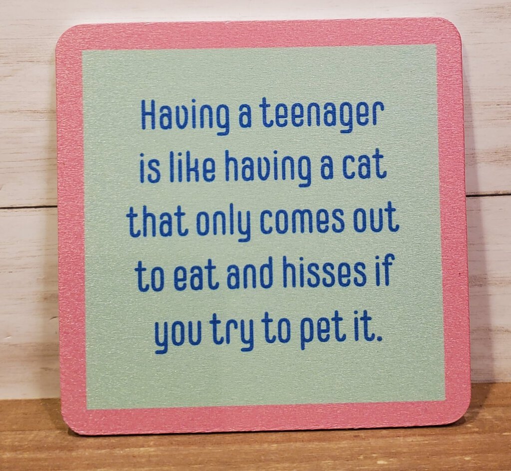 Teenager Cat Coaster