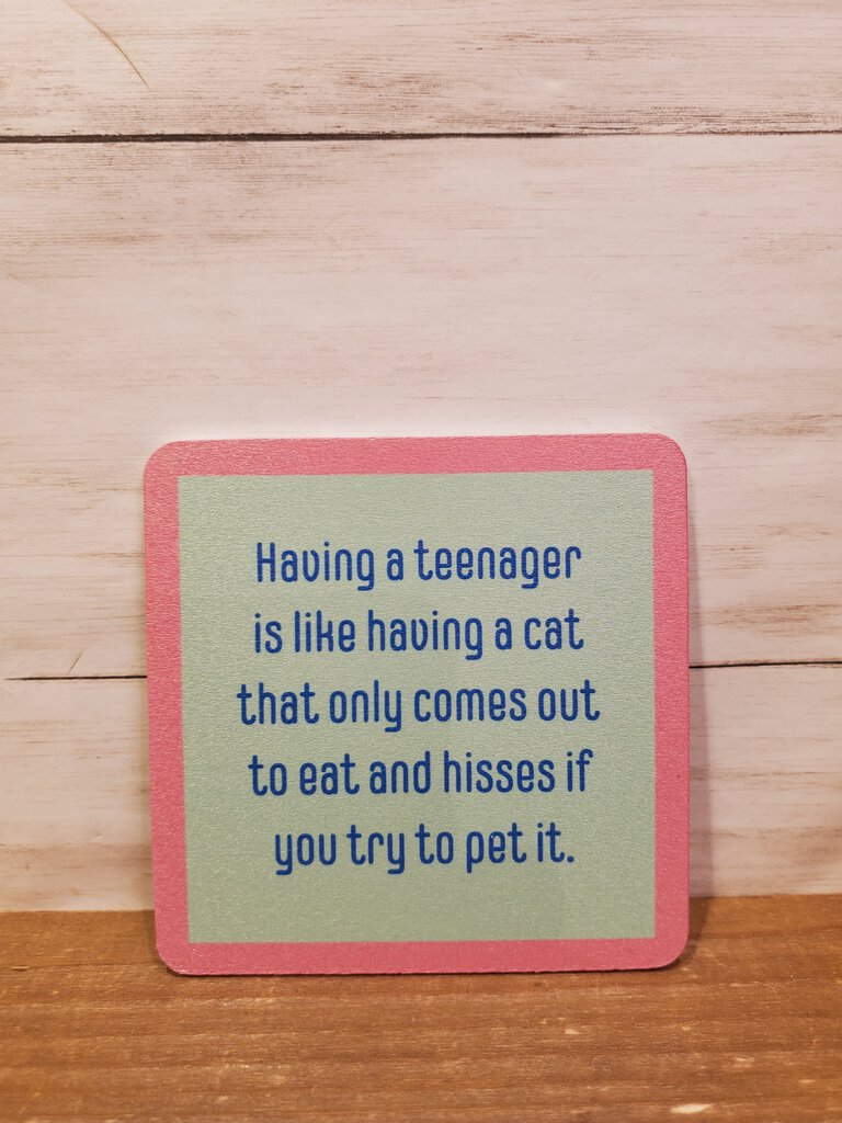 Teenager Cat Coaster