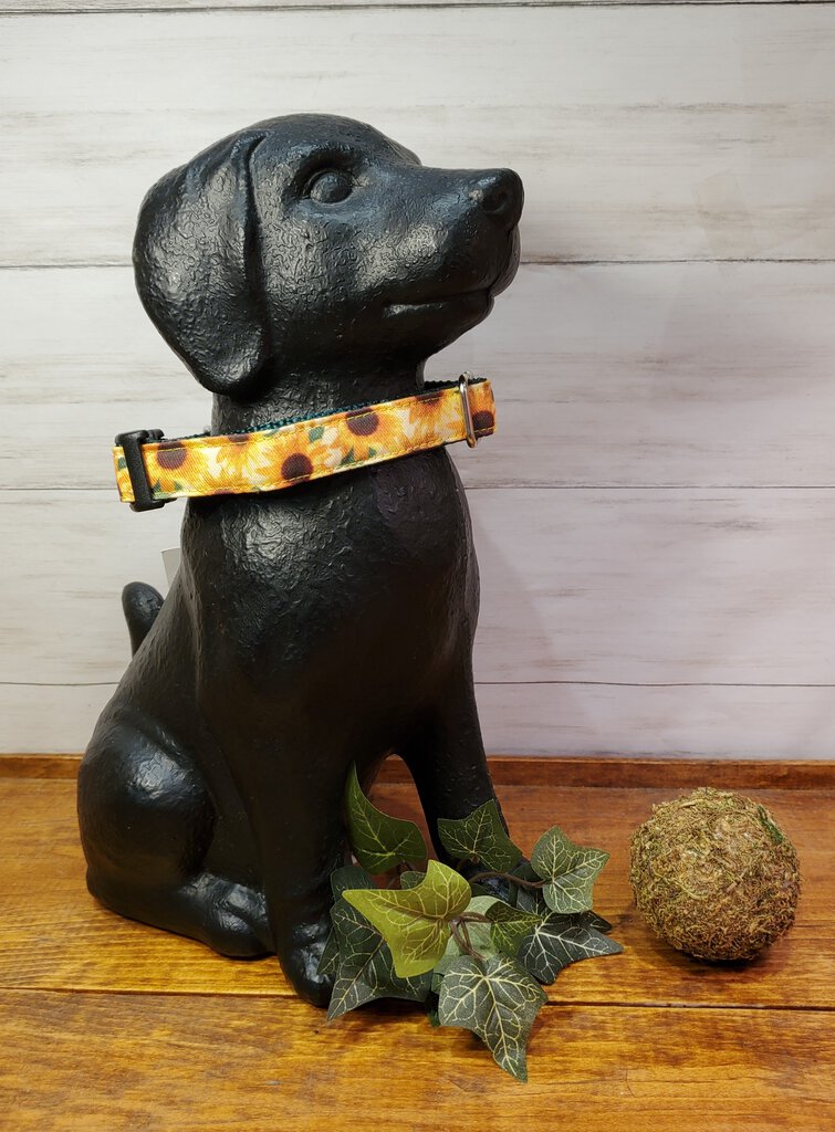 Sunflower Dog Collar