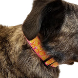 DOG COLLAR-LEMON-(MEDIUM 13"-16")