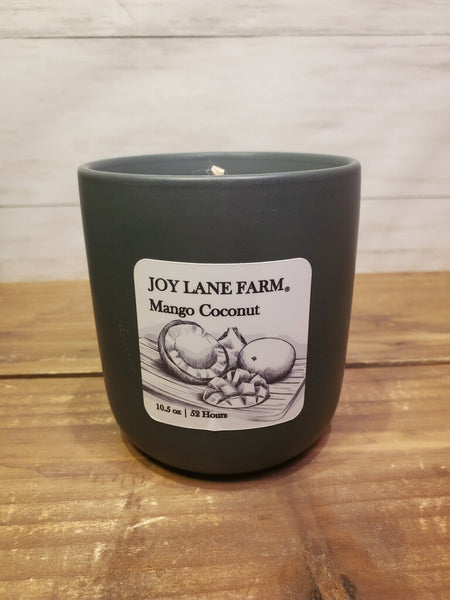 Mango Ceramic Minimalist Candle -Non-Toxic -Coconut Soy (Joy Lane Farm)