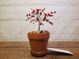 Med Crystal Wire Tree 3 Inch Pot (Red Jasper)