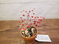 Med Crystal Wire Tree 3 Inch Pot (Red Jasper)