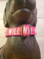 WILD DOG COLLAR- FUCHSIA- SMALL 12-16" (SEW FETCH DOG CO)