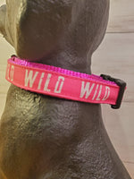 WILD DOG COLLAR- FUCHSIA- XL 18-26" (SEW FETCH DOG CO)