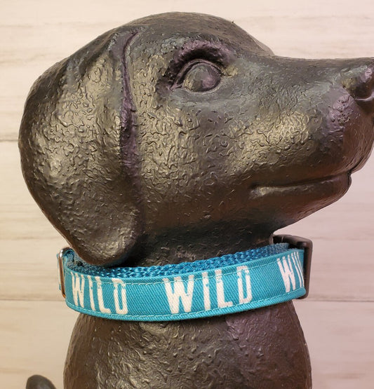 Wild Dog Collar Teal